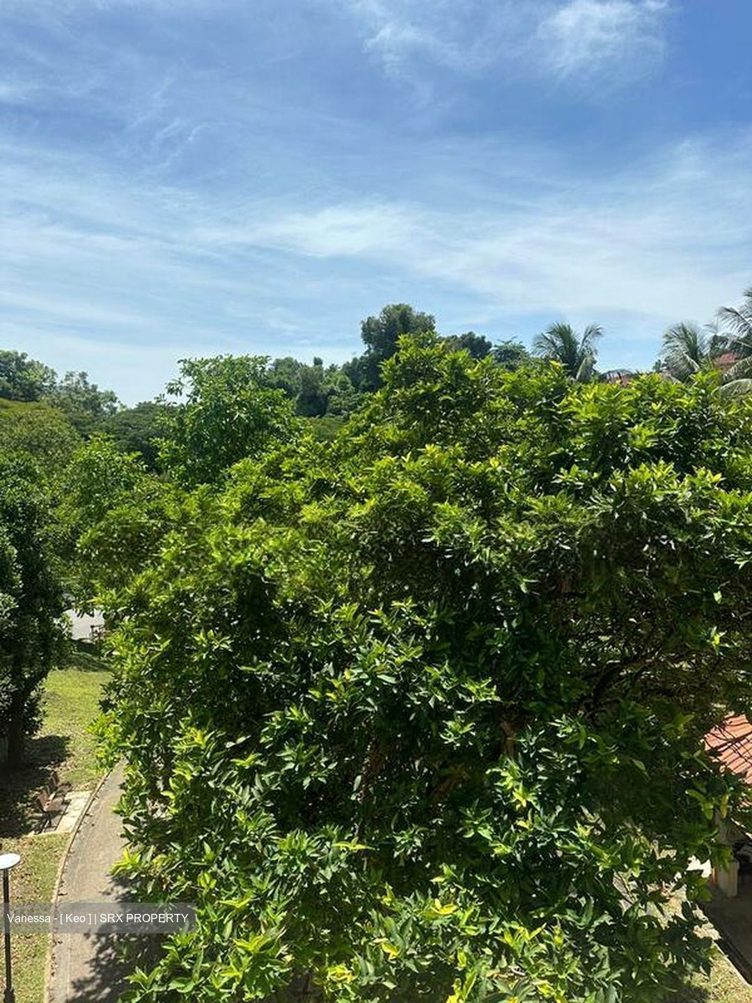 Blk 101 Bukit Purmei Road (Bukit Merah), HDB 4 Rooms #501675591